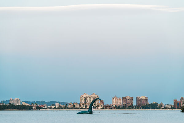 ▲▼高雄澄清湖出現尼斯湖水怪。（圖／翻攝自高雄市政府臉書專頁）