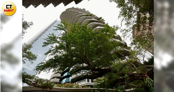 「陶朱隱園」成屋多年終於開胡，以每坪364萬元，一舉拿下2025年北市十大成屋豪宅，為去年平淡的豪宅市場增添亮點。（圖／黃耀徵攝）