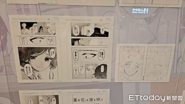 ▲▼薰香花朵凜然綻放。（圖／記者楊智仁攝）