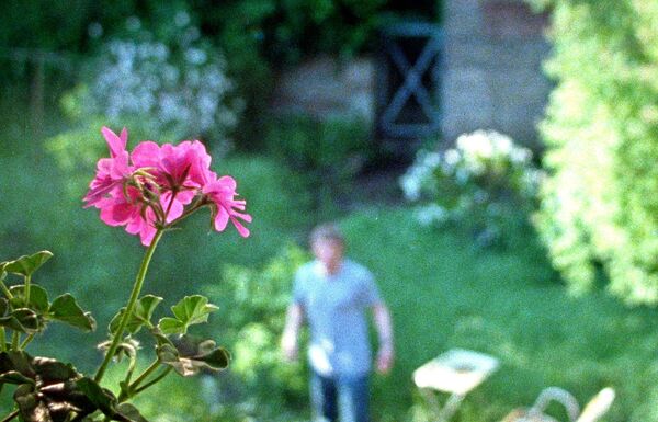 ▲《你是不會當樹嗎》恩佐布魯姆。（圖／海鵬影業提供）