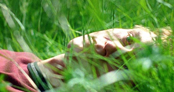 ▲《你是不會當樹嗎》恩佐布魯姆。（圖／海鵬影業提供）