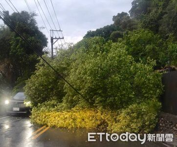 快訊／清晨豪大雨　中橫台8線11K電桿倒樹坍