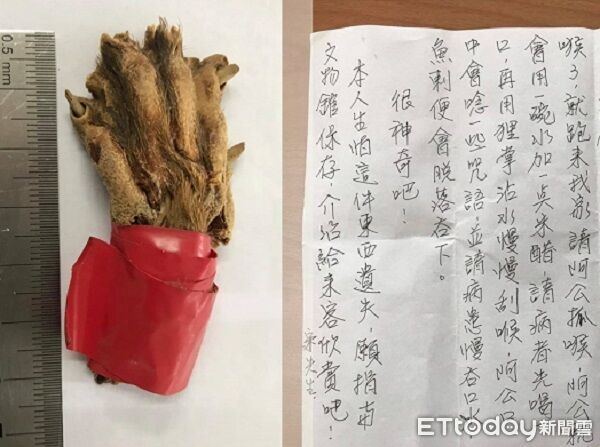 曾目睹阿公「水獺爪抓喉」化魚刺　台灣本島也曾是水獺家鄉