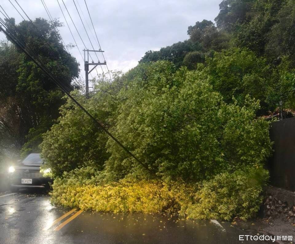 快訊/清晨豪大雨 中橫台8線11K電桿倒樹坍