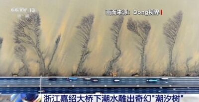 錢塘潮天然勾勒「潑墨山水畫」　「潮汐樹」大橋下現蹤