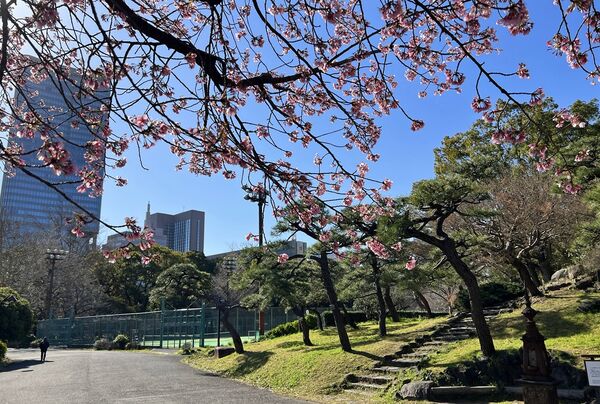 ▲▼15座東京賞櫻名所。（圖／CJ夫人授權提供）