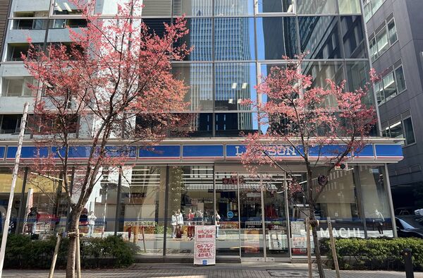 ▲▼15座東京賞櫻名所。（圖／CJ夫人授權提供）