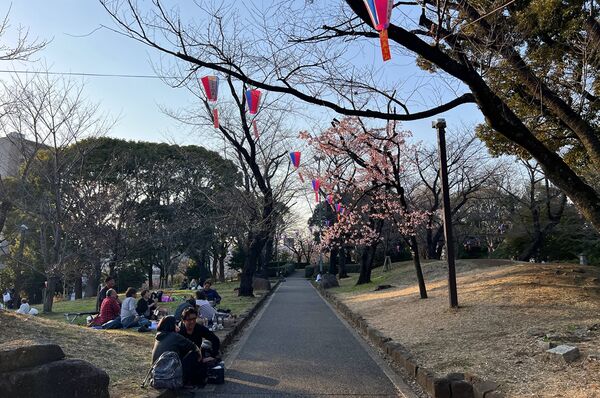 ▲▼15座東京賞櫻名所。（圖／CJ夫人授權提供）