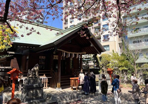 ▲▼15座東京賞櫻名所。（圖／CJ夫人授權提供）