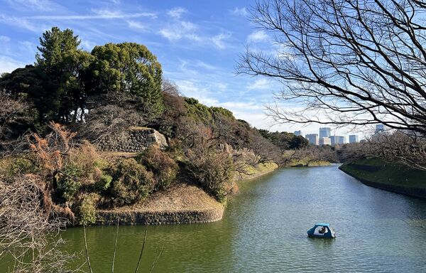 ▲▼15座東京賞櫻名所。（圖／CJ夫人授權提供）