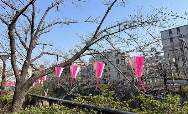 ▲▼15座東京賞櫻名所。（圖／CJ夫人授權提供）