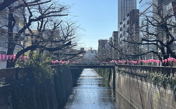 ▲▼15座東京賞櫻名所。（圖／CJ夫人授權提供）