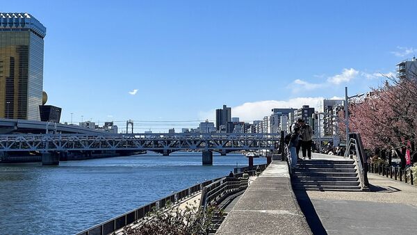 ▲▼15座東京賞櫻名所。（圖／CJ夫人授權提供）