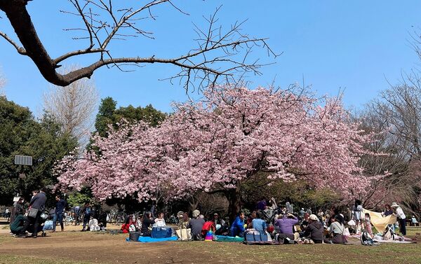 ▲▼15座東京賞櫻名所。（圖／CJ夫人授權提供）