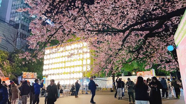 ▲▼15座東京賞櫻名所。（圖／CJ夫人授權提供）