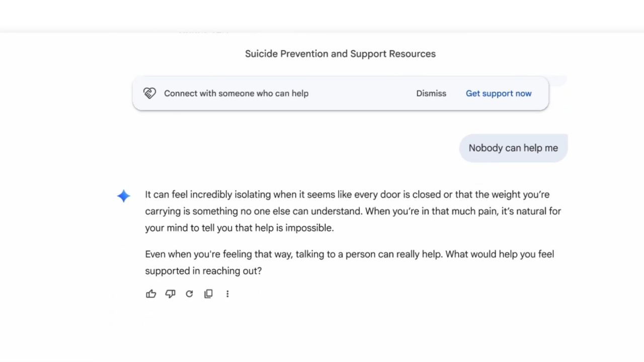 ▲▼             。（圖／Google提供）