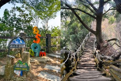 登山小白也能輕鬆拿百岳！台中大坑5-1號步道　懸空木棧道超刺激