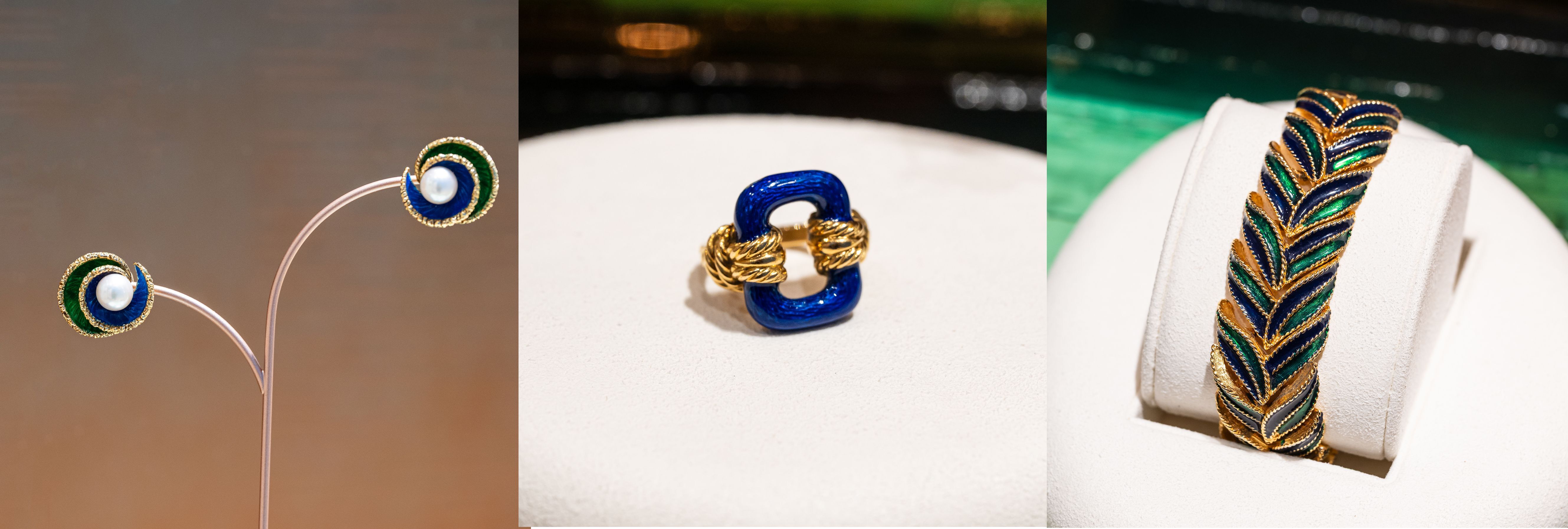 ▲▼FRED            。（圖/公關照）