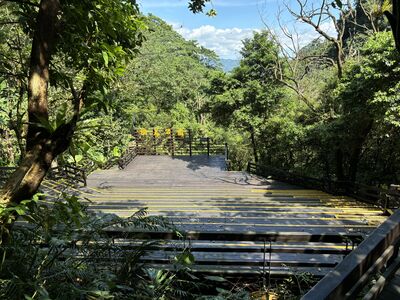 山林變舞台!新北推「微笑近山走3徑」 打造沉浸式療癒體驗