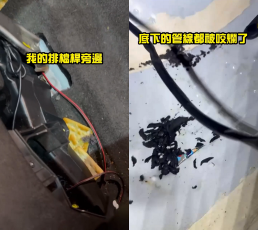 ▲▼逸祥愛車排檔桿內「塞滿餅乾」　管線全爛損失曝光。（圖／翻攝自Instagram／yixiang2474）