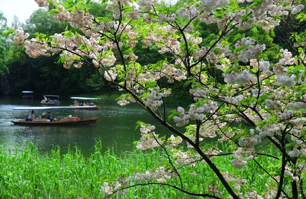 ▲杭州西湖。（圖／CFP）