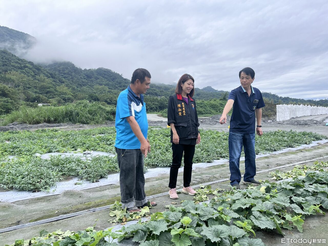 花蓮大西瓜將上市!1200度熟成風味沙脆甜 5月起全台接力行銷