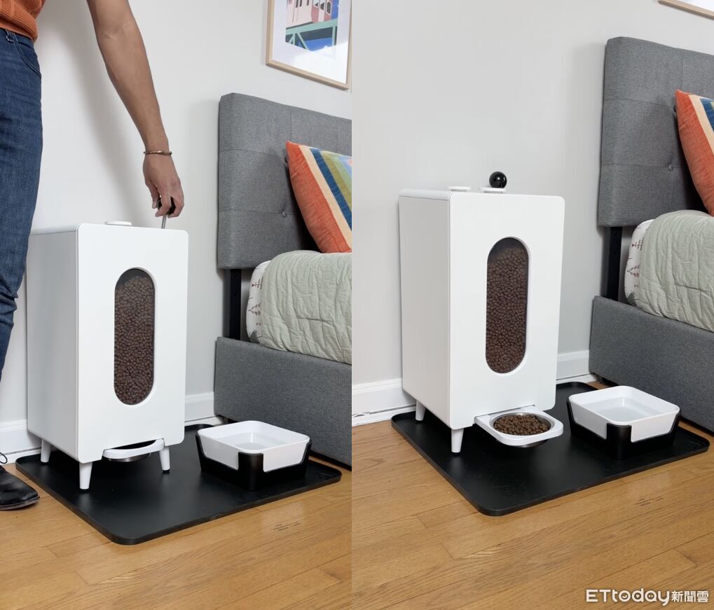 餵狗也能翻身致富!40歲科技男靠副業爆紅創下4.8億營收