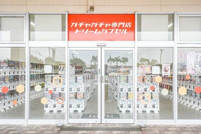 石垣島「扭蛋天堂」有上百款機台　熱門MLB、相機系列全都有