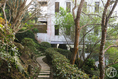 苗栗隱身杉木林裡的夢幻民宿！撞球烤肉全包辦　每房都有山景陽台