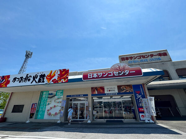 ▲▼かつお船 火蔵。（圖／台南好Food遊授權提供）