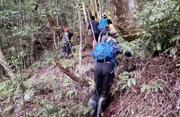 ▲桃園市桃園指揮中心指派巴陵分隊派員進入山區，引導2名登山客下山。（圖／桃園市消防局第四大隊提供）