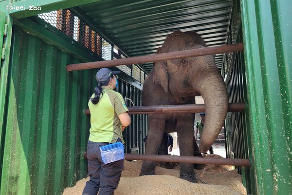 ▲。（圖／臺北市立動物園提供）