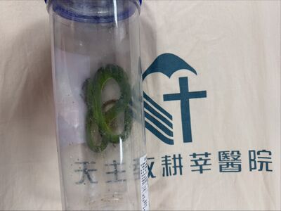 他被青竹絲咬「吸毒血、帶蛇衝急診」　醫揭3大NG行為：恐更嚴重