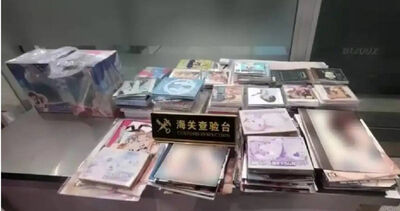 陸女「人肉走私」244本限制級漫畫當場被抓　下場曝光