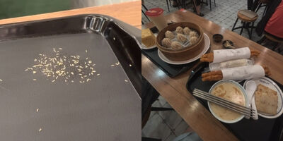 恐怖宵夜！永和世界豆漿大王「托盤一堆蛆狂爬」　客嚇：乾嘔一天