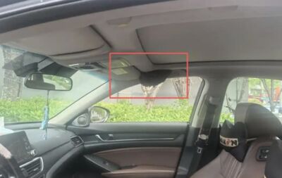 下車15分鐘沒關窗　副駕駛座「長出蜂窩」