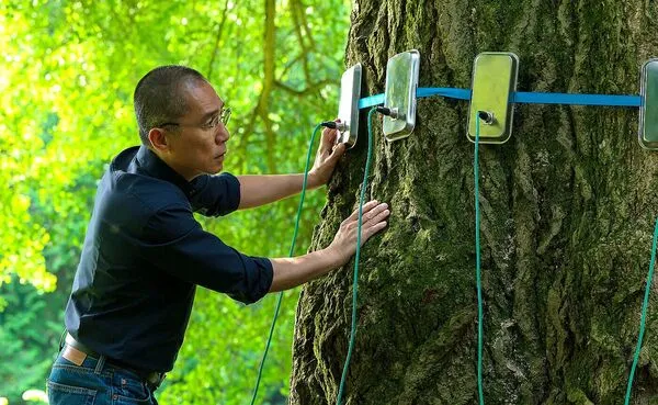 ▲蕾雅瑟杜隔空指導梁朝偉《你是不會當樹嗎》助銀杏樹完成性體驗。（圖／海鵬提供）