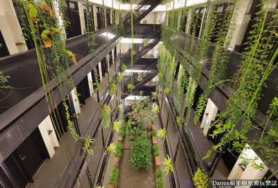 台東背包客必存「森林天井」青旅！