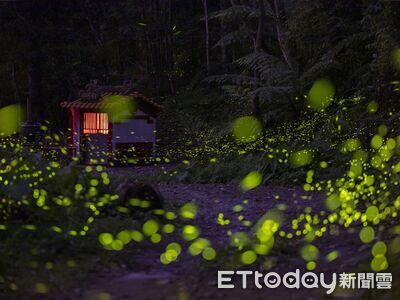 日月潭星光螢火季即起至5/31登場　八大據點結合多元體驗遊程