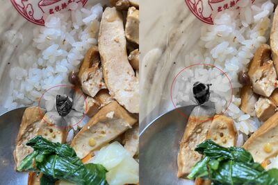 天王最愛排骨飯翻車？民眾見「蟑螂頭」崩潰　店家回：幫你換一碗