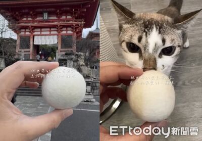 出國七天帶「旅行的氣味」回家　主子們認真猛聞超滿意