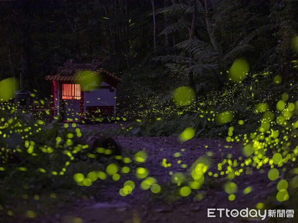 ▲2026日月潭星光螢火季4月浪漫登場。（圖／日月潭國家風景區管理處提供，下同）