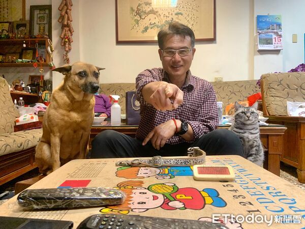 大黃狗塞小紙箱，床被貓搶走。（圖／飼主Stanley提供）