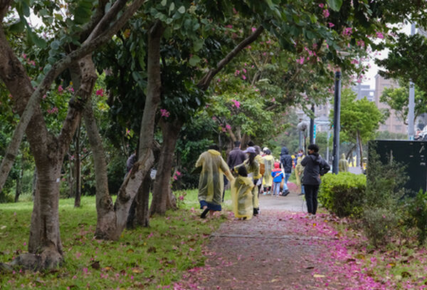 ▲桃園推出全新「FUN遊桃園．玩公園」