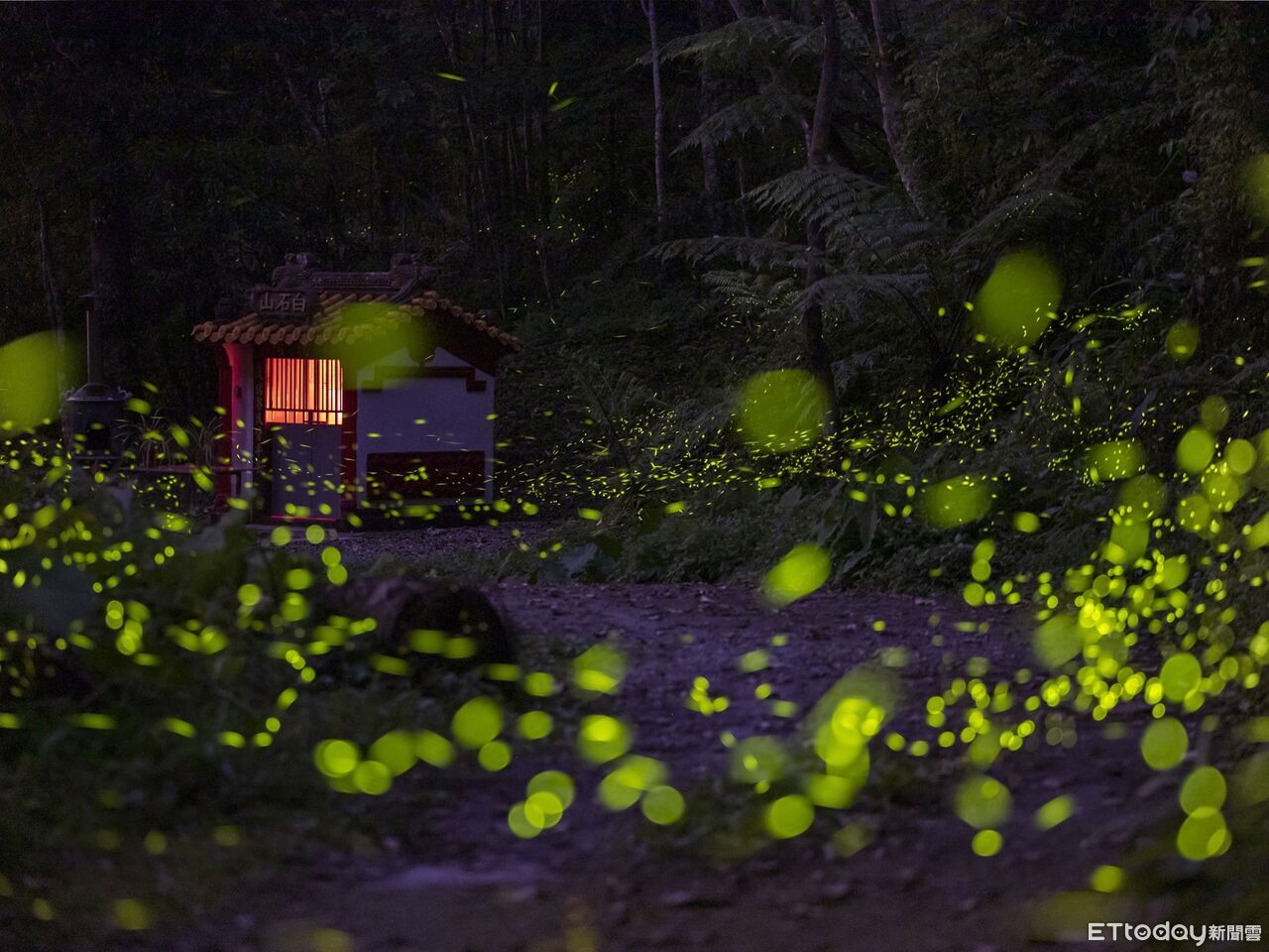 日月潭星光螢火季即起至5/31登場 八大據點結合多元體驗遊程