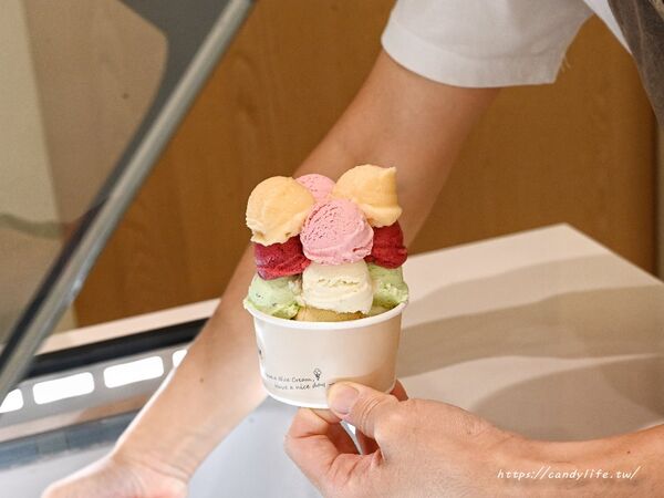 ▲▼台中新開幕「Nice Cream」，主打純素全植冰淇淋。（圖／部落客糖糖提供）