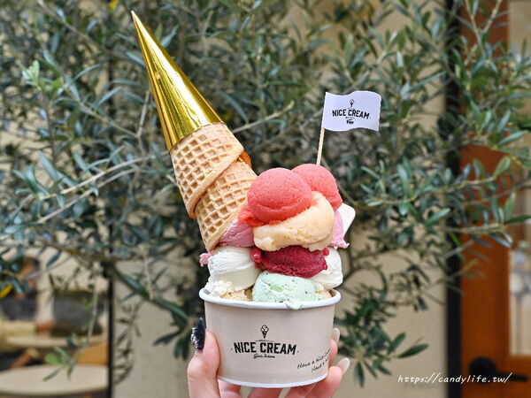▲▼台中新開幕「Nice Cream」，主打純素全植冰淇淋。（圖／部落客糖糖提供）