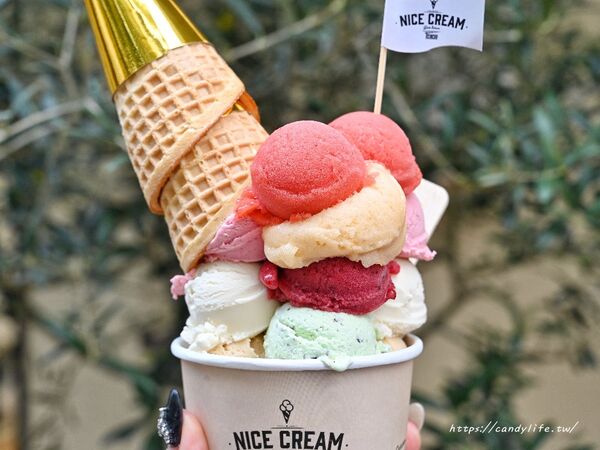 ▲▼台中新開幕「Nice Cream」，主打純素全植冰淇淋。（圖／部落客糖糖提供）