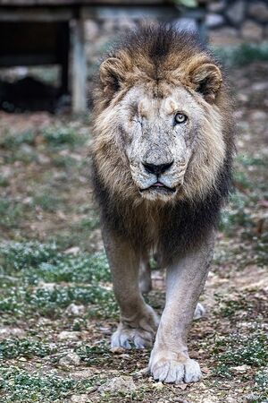 ▲。（圖／Shou Shan Zoo 壽山動物園提供）