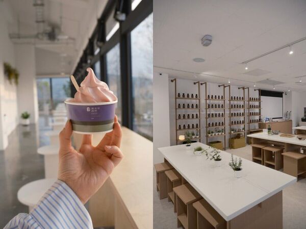 ▲▼薰衣草森林九九峰氦氣球樂園。（圖／ReadyGo提供）